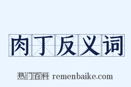 肉丁反义词是什么意思的图片